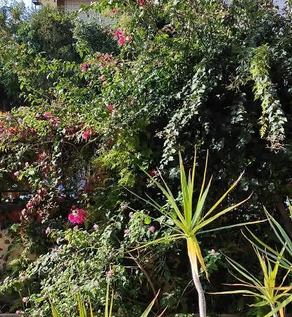 Πανσιόν Il Giardino Di Anna - Charming In Κάλιαρι